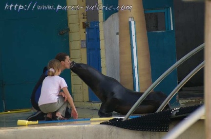 Marineland Antibes - 002