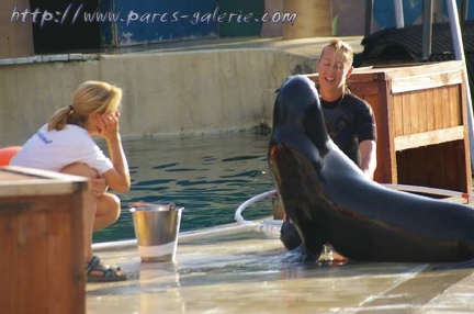 Marineland Antibes - 001