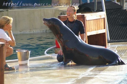 Marineland Antibes - 002