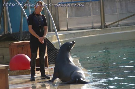 Marineland Antibes - 003