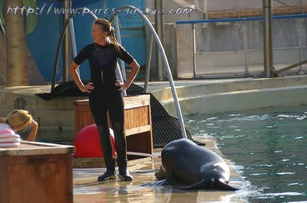 Marineland Antibes - 004