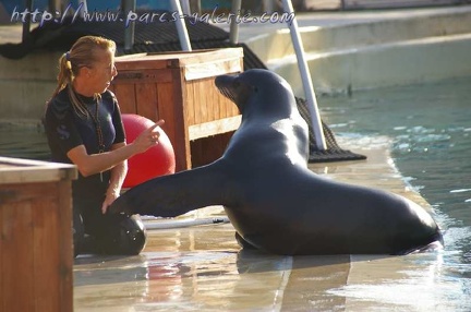 Marineland Antibes - 005