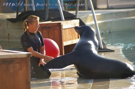 Marineland Antibes - 006