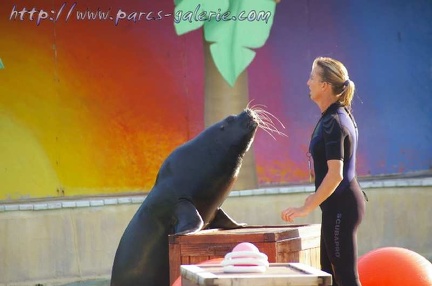 Marineland Antibes - 002