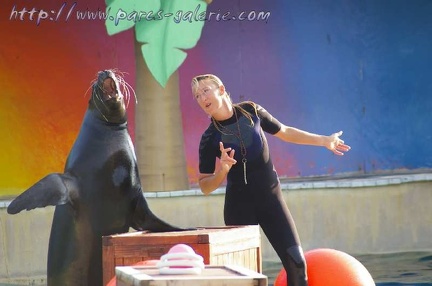 Marineland Antibes - 006