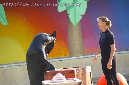 Marineland Antibes - 009