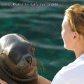 Marineland Antibes - 004