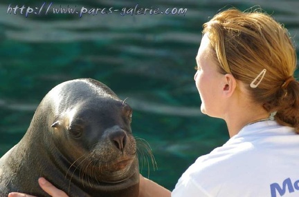 Marineland Antibes - 004