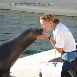 Marineland - Otaries - Apprentissage Amy et Isi