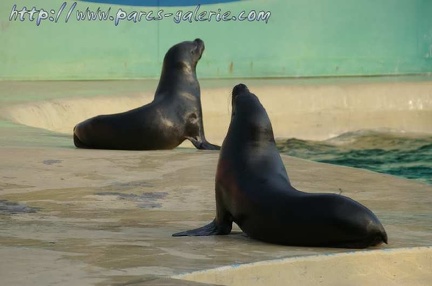 Marineland Antibes - 001