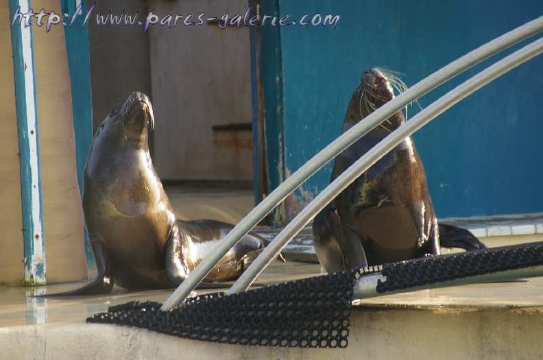 Marineland Antibes - 004