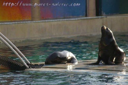 Marineland Antibes - 005