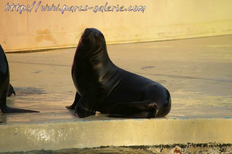 Marineland Antibes - 003 - Marineland_Antibes_-_003.jpg Marineland_Antibes_-_003.jpg