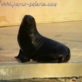 Marineland Antibes - 003