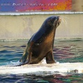 Marineland Antibes - 004