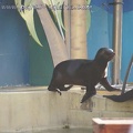 Marineland Antibes - 007