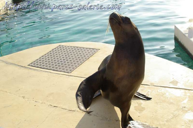 Marineland Antibes - 008