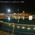 Marineland_Antibes_-_006.jpg