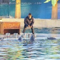 Marineland Antibes - 001