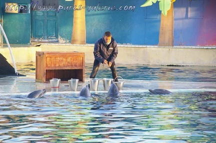 Marineland Antibes - 001