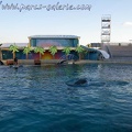 Marineland Antibes - 004