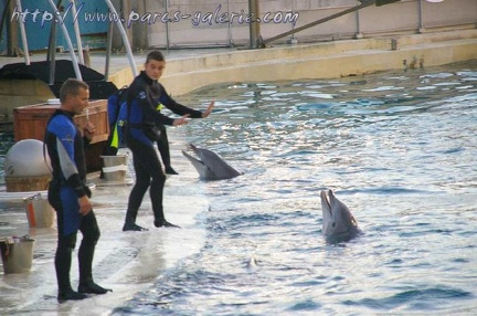 Marineland Antibes - 004