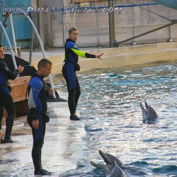 31 - Marineland - 04 novembre 2006