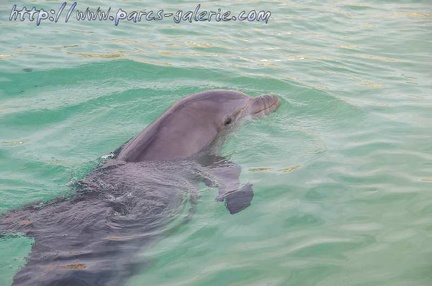 Marineland Antibes - 001