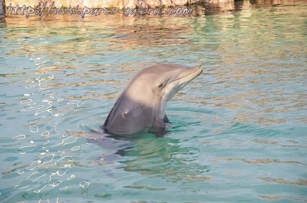 Marineland Antibes - 005