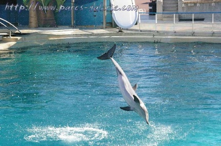 Marineland Antibes - 004