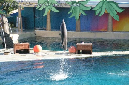 Marineland Antibes - 005