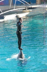 Marineland Antibes - 013