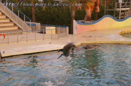 Marineland Antibes - 004