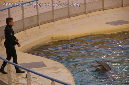 Marineland Antibes - 007