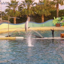 Marineland - Dauphins - Spectacle 17h15