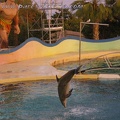 Marineland Antibes - 010