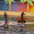 Marineland Antibes - 012