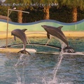 Marineland Antibes - 013