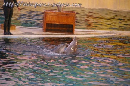 Marineland Antibes - 014