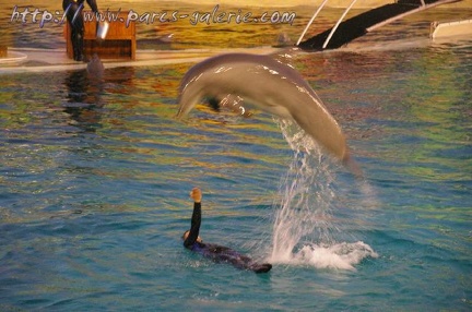 Marineland Antibes - 041