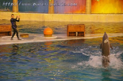 Marineland Antibes - 044