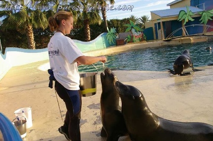 Marineland Antibes - 001