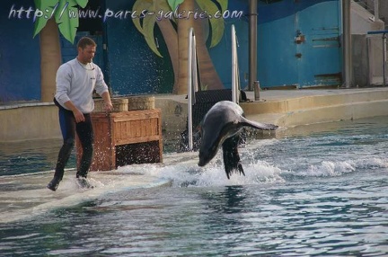 Marineland Antibes - 001