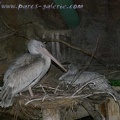 Marineland Antibes - 002