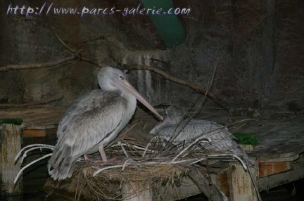 Marineland Antibes - 002