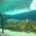 Marineland Antibes - 008