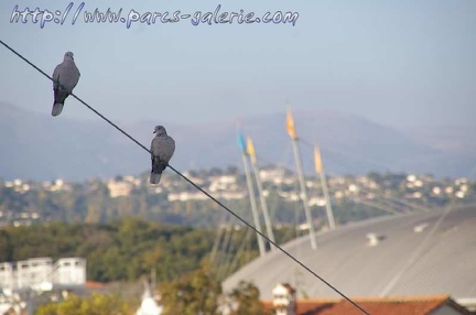 Marineland Antibes - 009