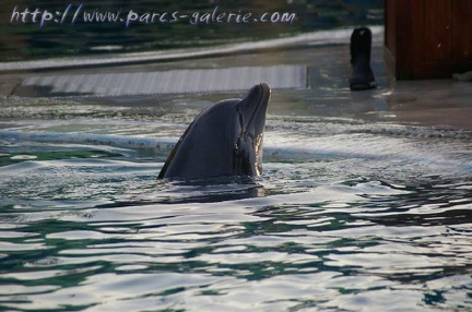 Marineland Antibes - 004