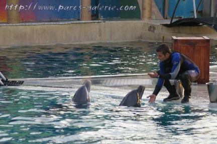 Marineland Antibes - 006