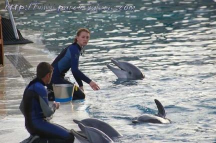 Marineland Antibes - 009